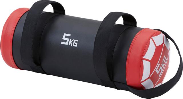 ダンノ DANNO ウエイトバック 5kg レッド 赤 体幹トレーニング ウエイトトレーニング 筋トレ 筋力トレーニング フィットネス 宅トレ 耐久性 耐水性 ウェイト D7290