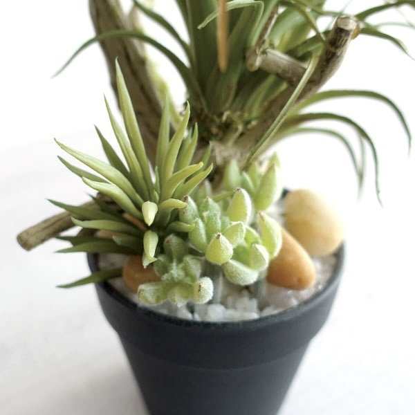 観葉植物 フェイクグリーン アレンジメント おしゃれ 多肉植物 木 寄せ植え インテリアグリーン 造花 インテリア雑貨 ポット 鉢