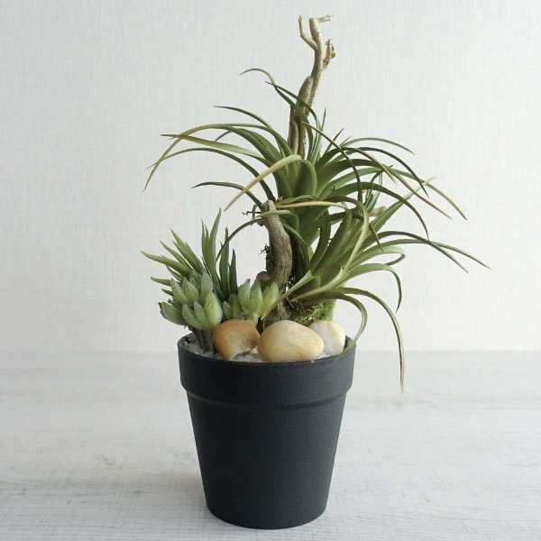 観葉植物 フェイクグリーン アレンジメント おしゃれ 多肉植物