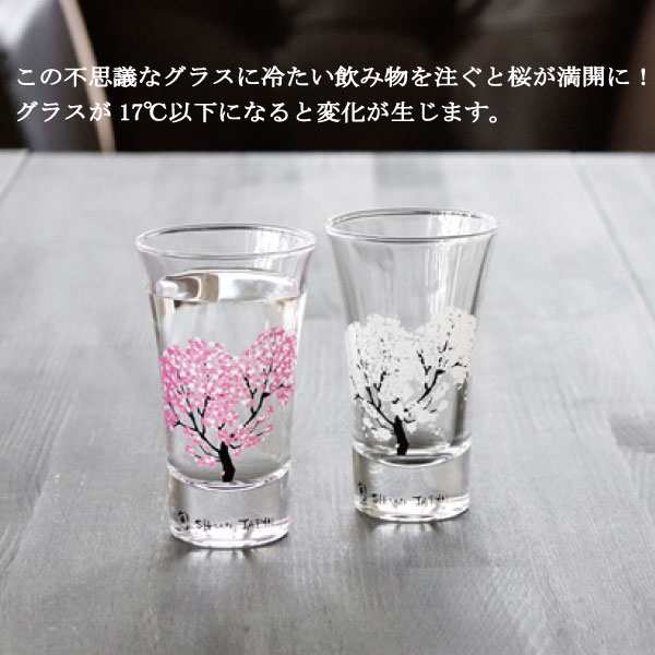 冷感桜 グラス 天開 ペアセット 温度で変化 さくら 丸モ高木陶器