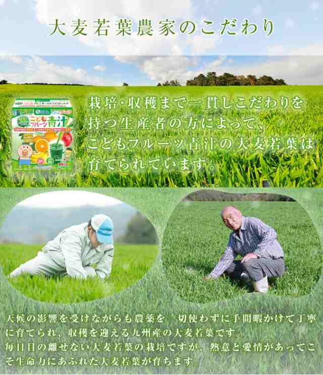 はなかっぱ監修 こどもフルーツ青汁 ミックスフルーツ味 2箱60日