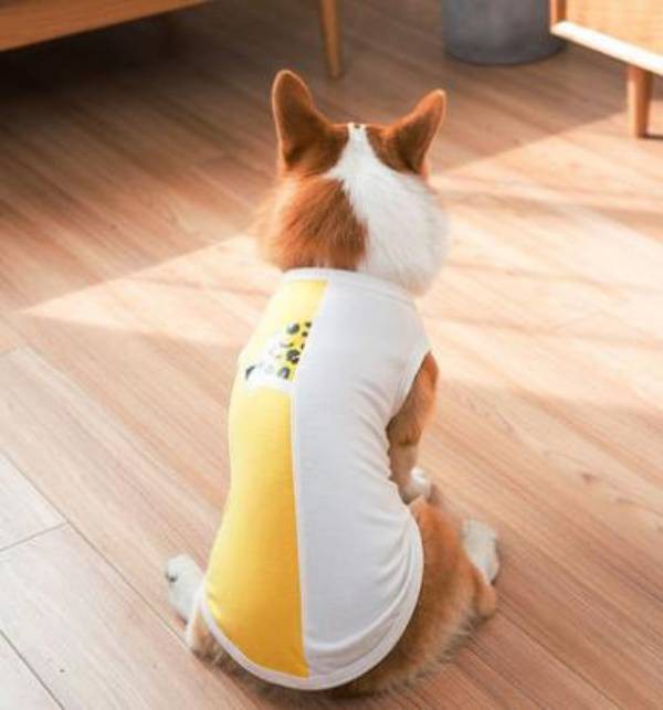 19夏ペットウェア 犬服 小型犬 中型犬 ノースリーブ タンクトップ 可愛い おしゃれ Ck001の通販はau Wowma Comomo 1 S