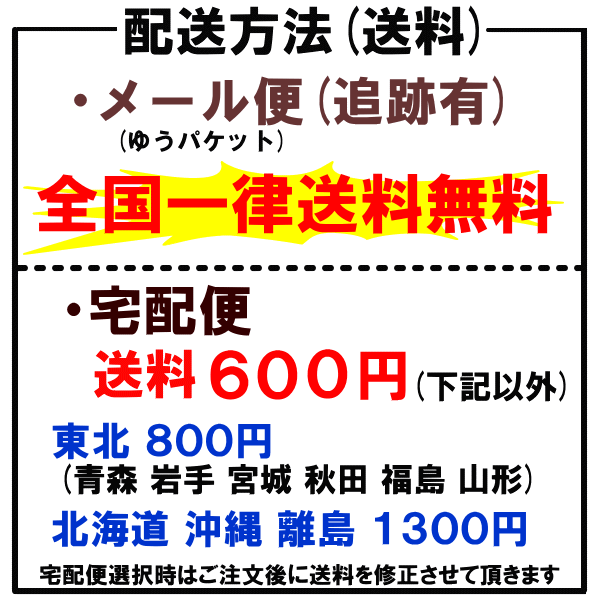 スヌーピー ツインgt キャップレス 印鑑 訂正印 ネーム印 シャチハタ印 浸透印 文房具 事務用品 ナース 看護士 仕事 プレゼント 人気 かの通販はau Pay マーケット 日本大聖印