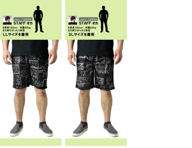 吸汗速乾 ハーフパンツ ショートパンツ ドライメッシュ メンズ