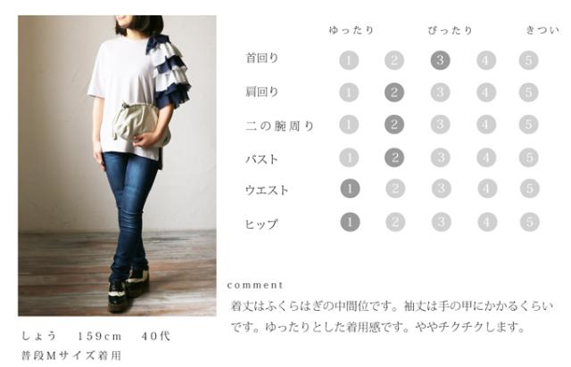 6月10日入荷 W M L対応 French Pave 光沢あるシアーシャツの羽織り 羽織り シャツ レディース Cawaii ファッション 30の通販はau Pay マーケット Cawaii