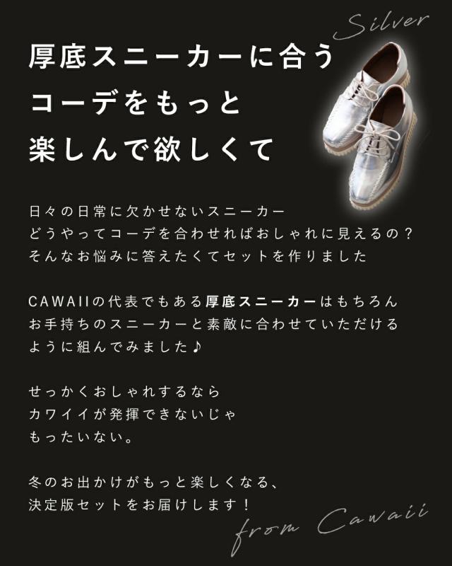 新作12月9日 厚底スニーカーに似合う 街にお出かけ エレカジ2点セット