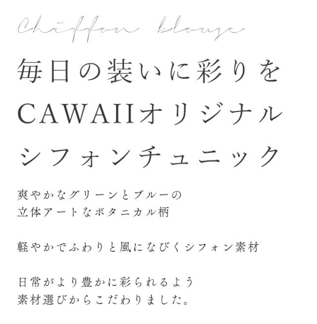 爽やかな風を纏う立体画アートのシフォンチュニック cawaii wkj00097