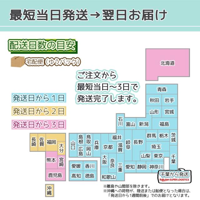 アニメ ワンピース グッズ 飾って 木のおもちゃ 使える木製立体パズルシリーズ 木製 Sl 立体パズル パズル作って