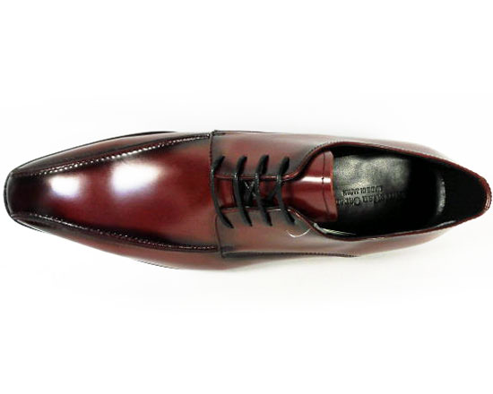 Christian Carano 本革 スワールモカ ビジネスシューズ ワイン ワイズ 3E（EEE）〜4E（EEEE）27.5cm、28cm（28.0cm）、28.5cm、29cm（29.0cm）、29.5cm、30cm（30.0cm）【大きいサイズ（ビッグサイズ）メンズ 革靴・紳士靴】