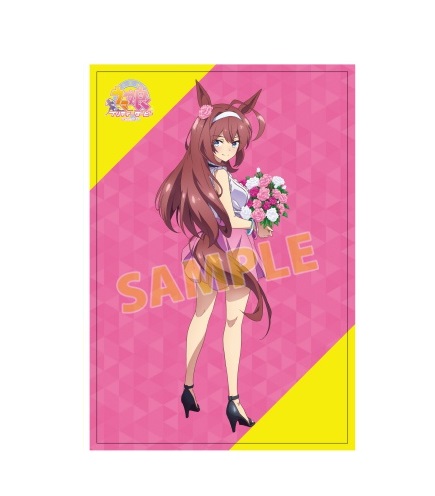 ウマ娘 プリティーダービー イラストカード ミホノブルボン アニメイト
