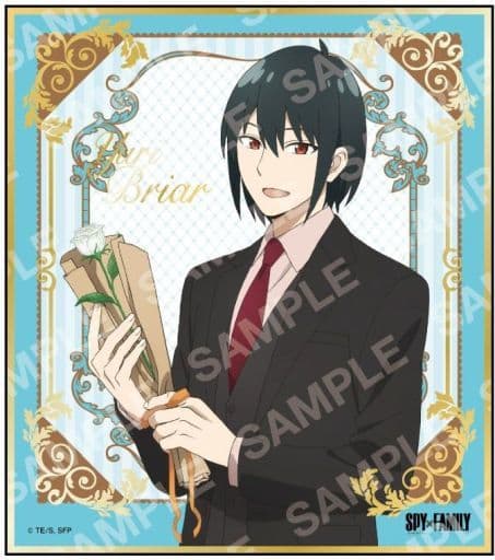 SPY×FAMILY 箔押しミニ色紙コレクション ユーリ・ブライアの通販