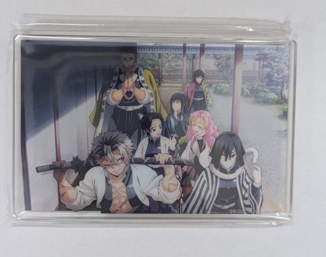 冨岡義勇 時透無一郎 悲鳴嶼行冥 不死川実弥 胡蝶しのぶ 甘露寺蜜璃 伊黒小芭内 鬼滅の刃 鬼滅シアター レイヤードマグネット 柱稽古編 ufotable 鬼滅 グッズ