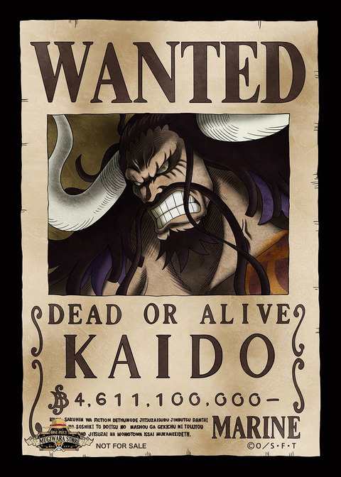 ワンピース ONE PIECE カイドウ 手配書 ブロマイド 新絵柄 麦わらストア 限定 ポイントカード 特典｜au PAY マーケット
