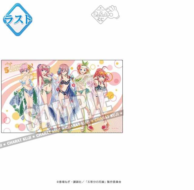 【新品】きゃらっとくじ 五等分の花嫁 〜Summer Vacation〜 ラスト賞 特大マルチクロス 中野一花 中野二乃 中野三玖 中野 四葉  中野五月 ｜au PAY マーケット