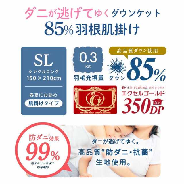 13日〜15日セール開催！ 日本製 防ダニ ダニ防止 ダウンケット