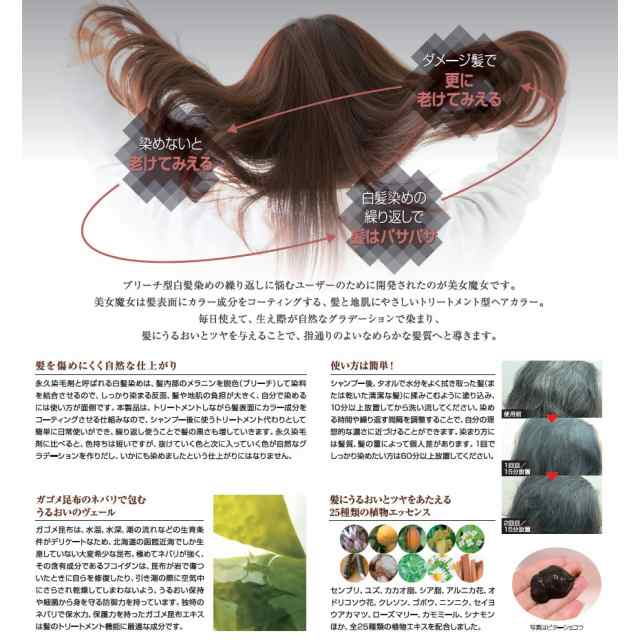 美女魔女 Bijyo Majyo 240g トリートメント型ヘアカラー 白髪染めの通販はau Pay マーケット アイヒーリング