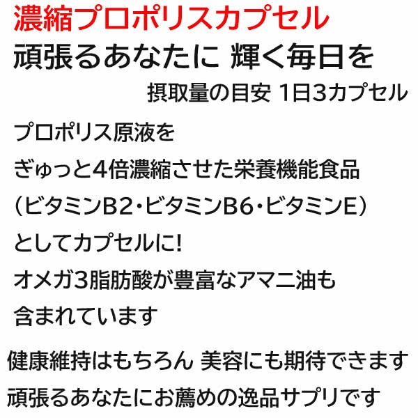 濃縮プロポリスカプセル 蜂の寿 アマニ油 ビタミンE B2 B6配合 サプリ 栄養機能食品 80粒_2