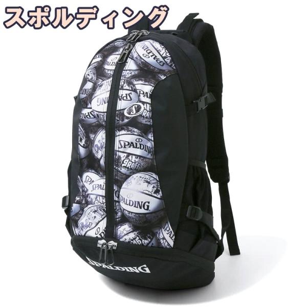 AbuGarcia (アブガルシア) MAX DLC H-L 大画面 デジタルライン