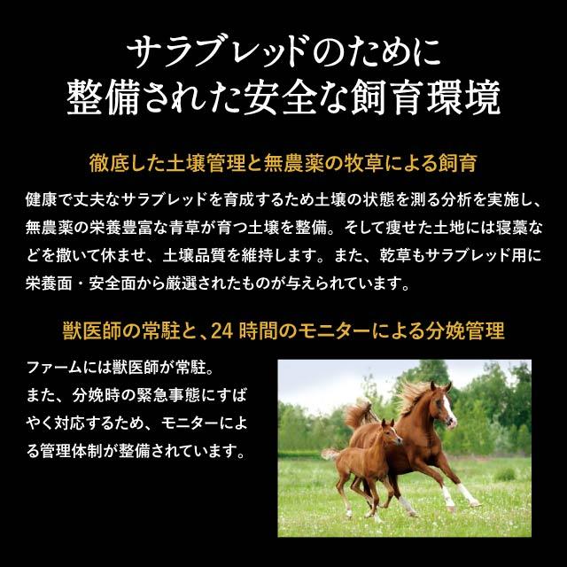 エステプロラボ プラエンザイムEX 3個セット グランプロ ピーチフレーバー Esthe Pro Labo GRAN PRO 正規品 北海道 サラブレッド 馬プラセンタ ドリンク 美容ドリンク 燕の巣 ローヤルゼリー ヒアルロン酸_5