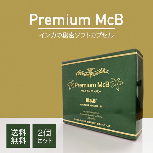 氣注入器【 ジャンボ・シャトル　３本鍼 】 氣注入器【 ジャンボ・シャトル 3本鍼 】