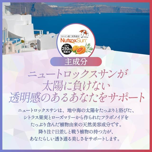 BE-MAX The SUN ビーマックスザサン 30カプセル 3個セット 日焼け止め 日焼け止めサプリ 紫外線対策 uv サプリメント ビーマックス 日焼け防止 ビタミンＤ ニュートロックス ビタミンＣ 美容 サプリ bemax 日本製_5