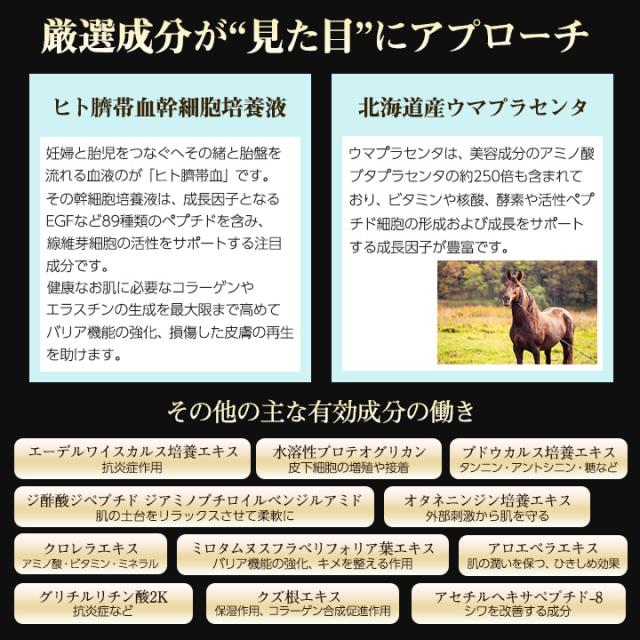 プレジスト V フィックス アメージングクリーム 50g PRESIST V FIX