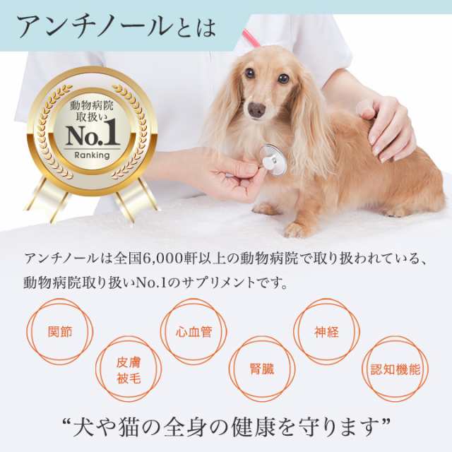 アンチノール 犬 犬用 60粒 サプリメント Vetz Petz 健康維持 関節