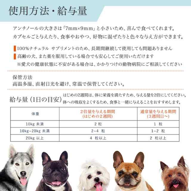 アンチノール 犬 犬用 60粒 サプリメント Vetz Petz 健康維持 関節 