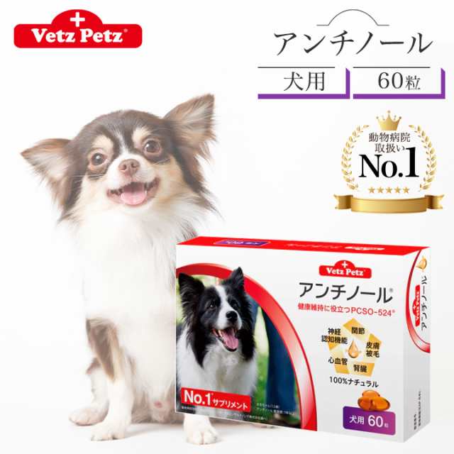 アンチノール 犬 犬用 60粒 サプリメント Vetz Petz 健康維持 関節