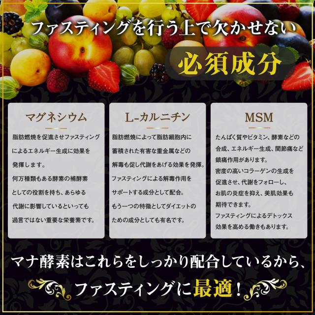 MANA マナ酵素 500ml マナ酵素 MANA酵素 酵素ドリンク 無添加 500ml ファスティング