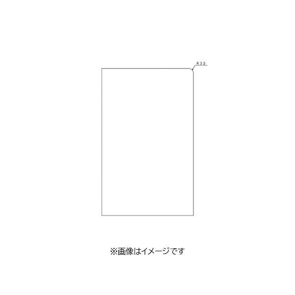 「本体と同時購入必須商品」●イースタン工業 部材【サイドパネル(560×900×t18)】CO2、COD2、CM2、CF2用〔FI〕