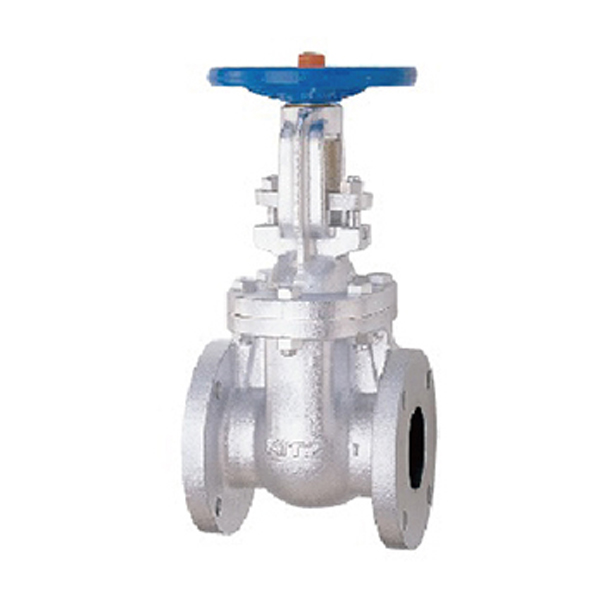 キッツ/KITZ 【5FCM65A】鋳鉄製 ゲート弁 フランジ形 JIS 5K 21/2inch〔HE〕