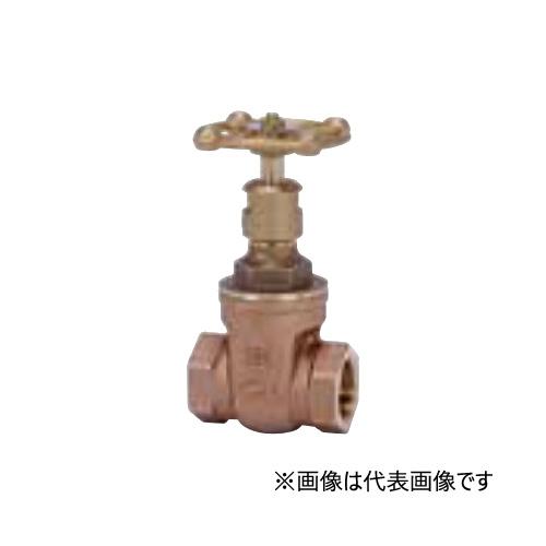 ⭐︎ 歩くヒョウ⭐︎11号 ⭐︎ 伊太利屋 まだむしんこちゃんふう 信子