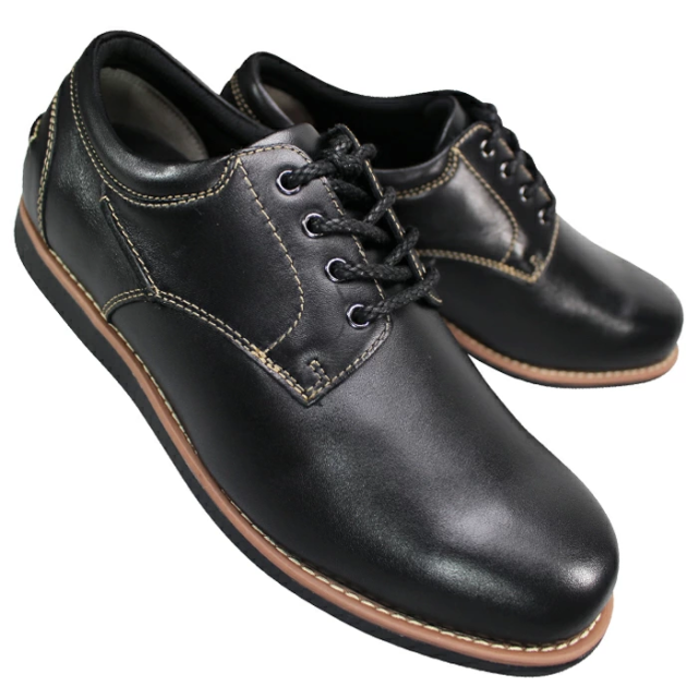 ドクターアッシー DR8021 Dr.ASSY ブラック ダークブラウン 24.5cm〜27cm メンズ ウォーキングシューズ カジュアルシューズ トラベルシューズ レザースニーカー 靴 紐靴 紳士靴 革靴 4E相当 幅広 ワイド ゆったり 本革