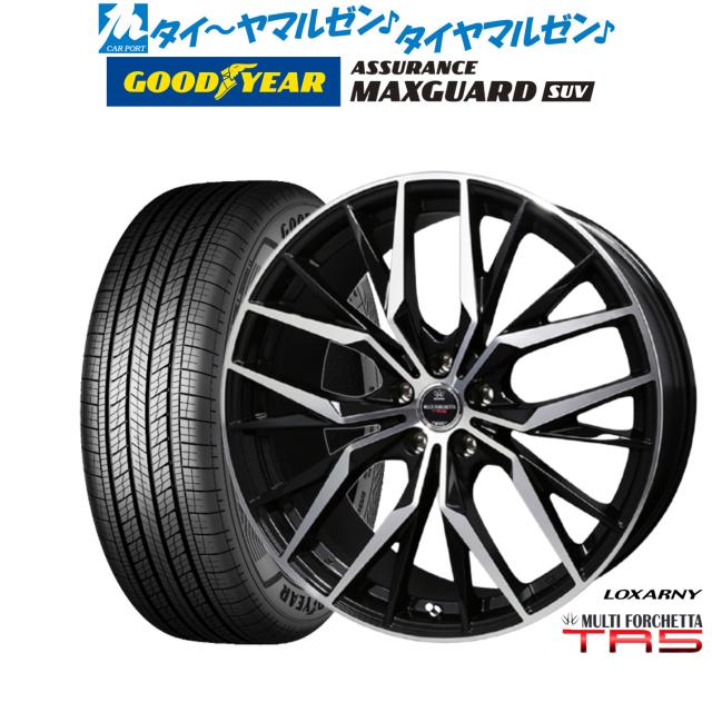 BADX ロクサーニ マルチフォルケッタ TR5 19インチ 8.0J グッドイヤー 