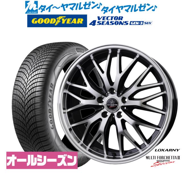 BADX ロクサーニ マルチフォルケッタ２ SP-SPECTOR 20インチ 8.5J グッドイヤー VECTOR ベクター 4Seasons GEN-3 SUV 255/50R20 オールシーズンタイヤ ホイール4本セット