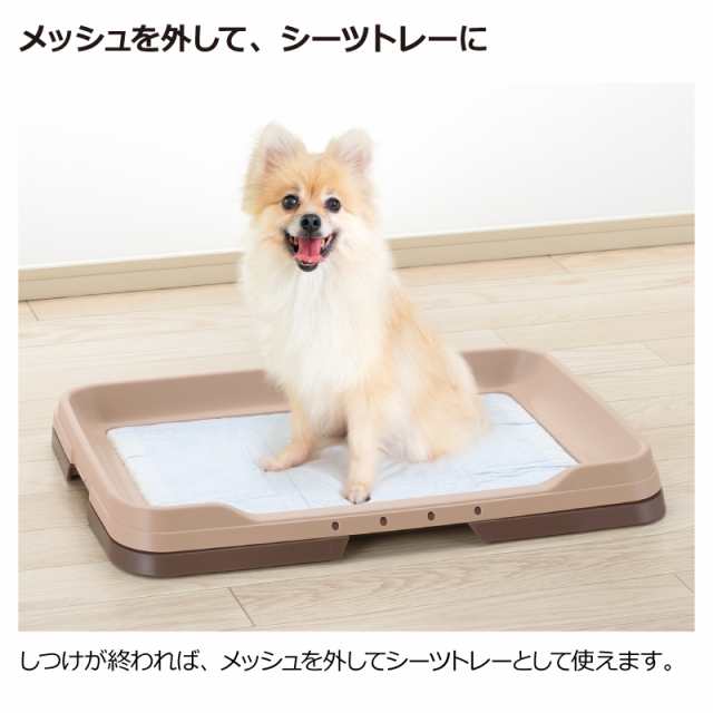 トイレ トイレトレー リッチェル Richell お掃除簡単ステップトレー レギュラー ペット用品 ペットグッズ 犬用品 犬グッズ 犬 犬用 犬の の通販はau Pay マーケット カモシカnet Au Pay マーケット店