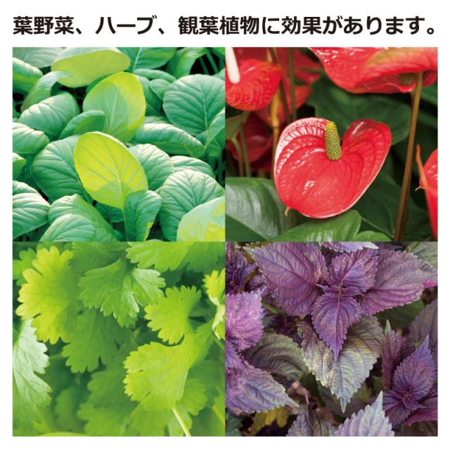 クロレラの恵み 葉にかける栄養剤 500ml ガーデニング 観葉植物 苗木 植木 水生植物 花瓶 プランター 肥料 鉢 受皿 園芸用品 園芸の通販はau Pay マーケット カモシカnet Au Pay マーケット店