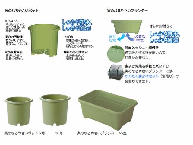 植木鉢 鉢 リッチェル Richell 実のなるやさいポット 9号 グリーン Gr 園芸用品 家庭菜園の通販はau Pay マーケット カモシカnet Au Pay マーケット店