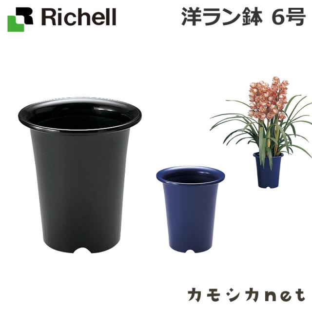 植木鉢 鉢 リッチェル Richell 洋ラン鉢 6号 園芸用品の通販はau Pay マーケット カモシカnet Au Pay マーケット店