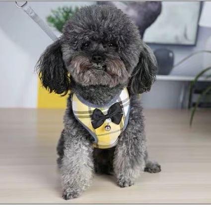 犬 ハーネス おしゃれ メッシュ 小型犬用 中型犬用 犬ハーネスリードセット 犬のハーネスリード おしゃれな犬のハーネス リボン サイズ調の通販はau Pay マーケット Aiai Shop