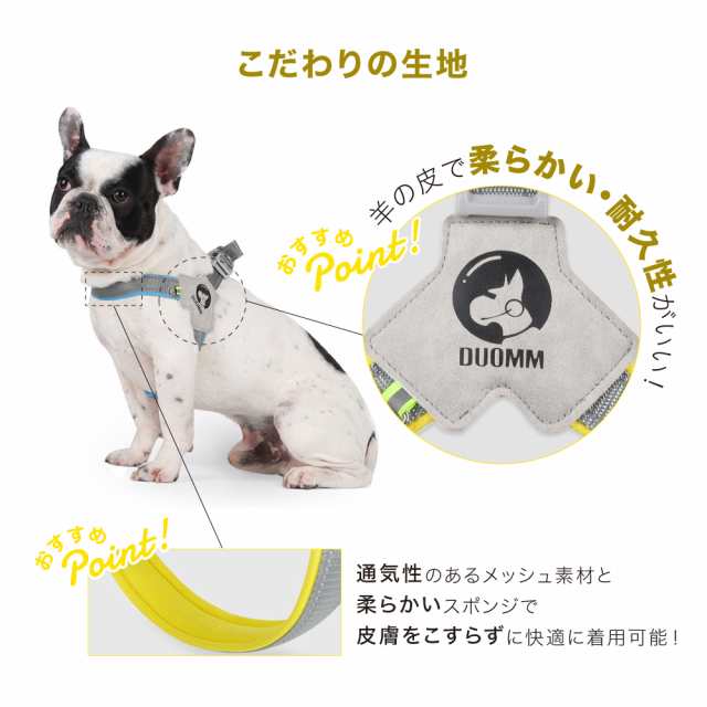 値引きする リード おしゃれ 成犬オス用 首輪・リードセット 犬用品