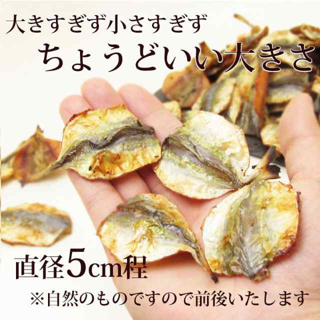 こんがりしっとり 焼きあじ ひらき 180g 珍味工房 小あじ おつまみ 珍味 アジ あじ 絶品 つまみ 酒の肴 にお子様のおやつにもどうぞの通販はau Pay マーケット おつまみショップ珍味工房 Au Pay マーケット店