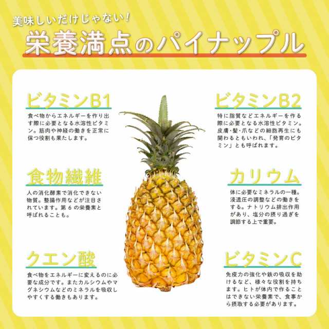 スナックパイン 送料無料 沖縄県産 5.0kg（4〜10玉） 産地直送