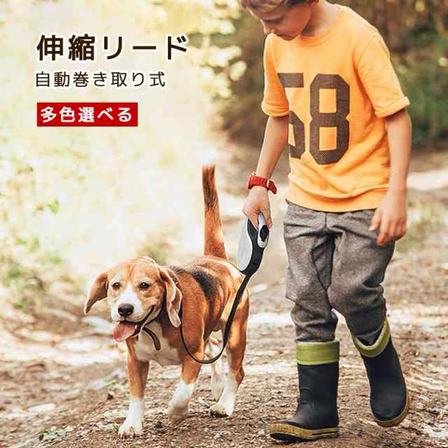 犬 リード 犬用 おしゃれ 伸縮 5m Sサイズ 15kg未満 犬リード 自動巻き 小中型犬対応 伸縮リード ペット用品 散歩グッズ 伸縮引きヒの通販はau Pay マーケット Reiwa Life Au Pay マーケット店