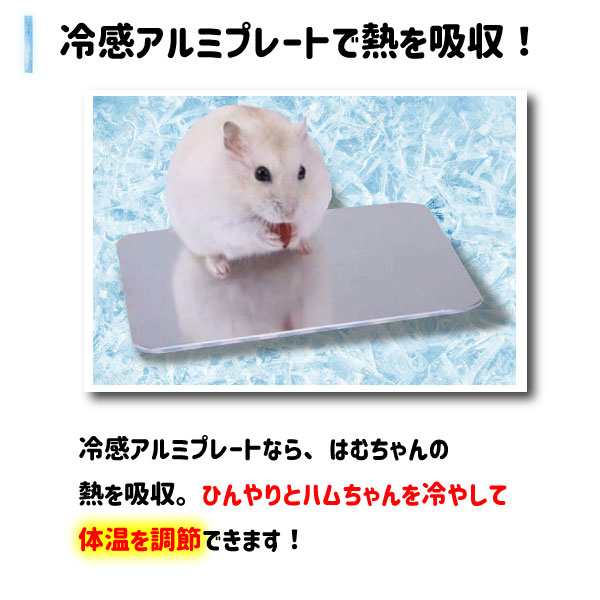 定形外郵便無料】ハムスター用冷却プレート（小） 小動物 うさぎ ケージ 暑さ対策 ひんやり マット ペット用品 小動物用品 ひんやりグの通販はau  PAY マーケット しろくじら au PAY マーケット店 au PAY マーケット－通販サイト