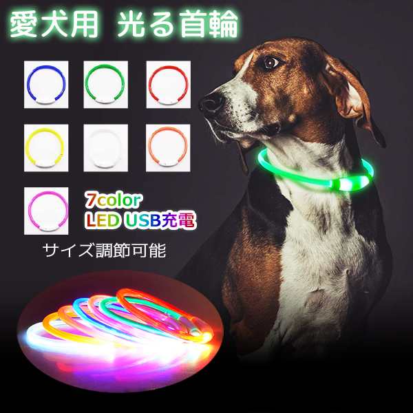 メール便送料無料・代引き送料580円】愛犬用 光る首輪 LEDライト USB