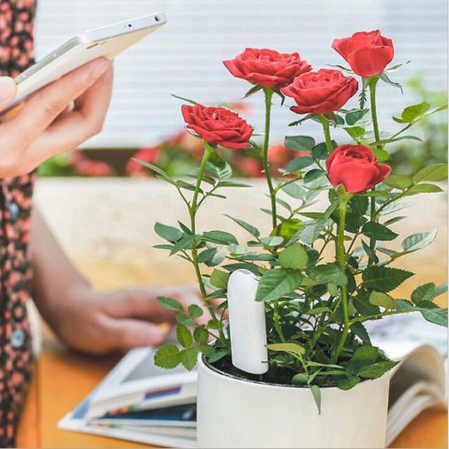 スマホ連動土壌テスター iPhone/Android対応 Appで植物の状態をチェック Flower Care 土壌測定 技術認証マーク取得 HHCC20Gの通販は