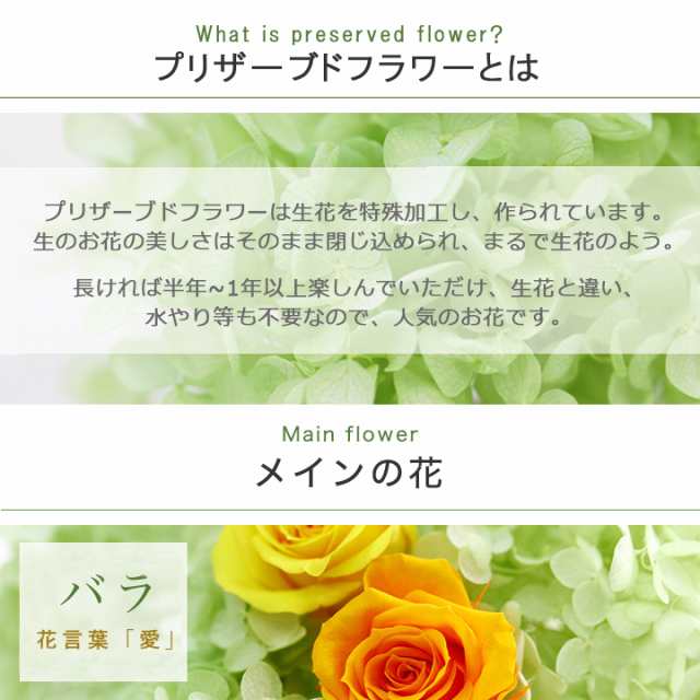 プリザーブドフラワー Antietto バラ 花 誕生日 父の日 プレゼント 女性 母 女友達 代 30代 フラワーギフト ボックスフラワー フラワーの通販はau Pay マーケット Flabel