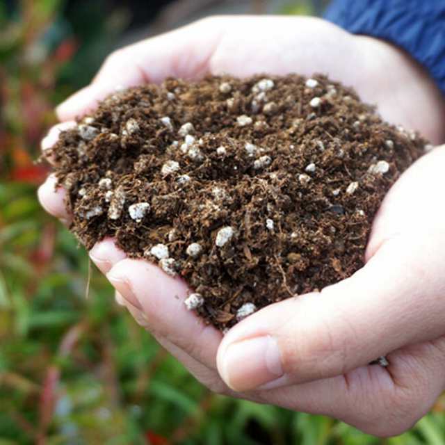 鉢植え用プレミアム培養土 【わくわくローズソイル】 （14L入） こだわりのバラ専用培養土 オーガニック培養土 初期肥料入り （ニーム・の通販はau  PAY マーケット - 苗木部 By 花ひろばオンライン